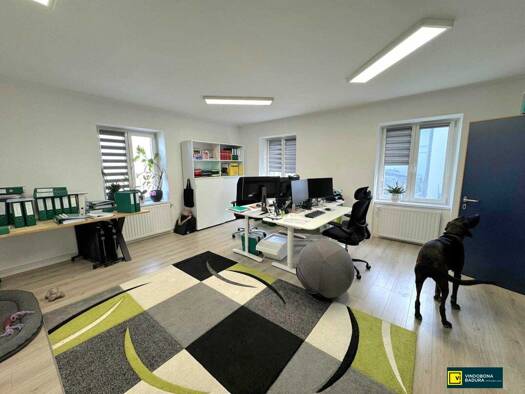 Büro zum Kauf 1.930 € 3 Zimmer Traiskirchen 2514
