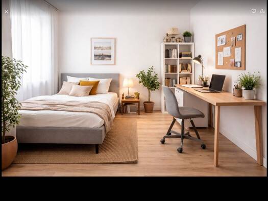 WG-Zimmer zur Miete 450 € 20 m² Geschoss EG/3 frei ab sofort Nord-Holland Kassel 34127