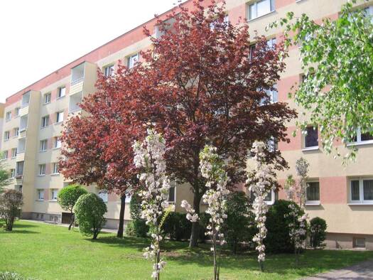 Wohnung zur Miete 215 € 2 Zimmer 46,5 m² EG frei ab sofort Schulstraße 13 Borna Borna 04552