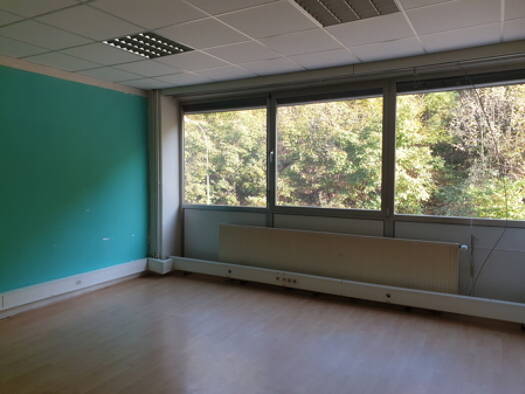 Bürogebäude zur Miete 1.400 € 265 m² Bürofläche Saarbrücken 66133