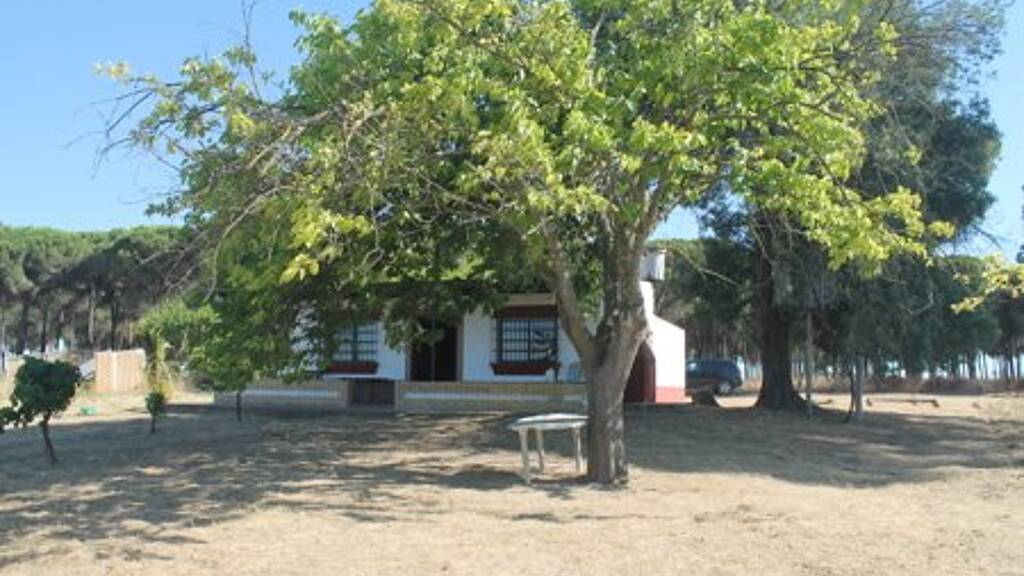 Bauernhaus zum Kauf provisionsfrei 115.000 € 4 Zimmer 120 m² 15.000 m² Grundstück Rociana del Condado 21720