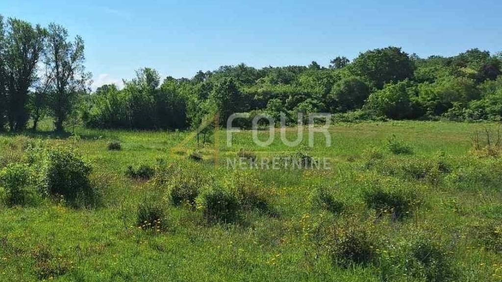 Land-/Forstwirtschaft zum Kauf 39.000 € Bale Bale