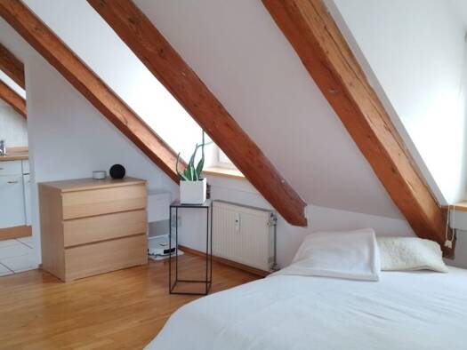 Wohnung zur Miete 650 € 1 Zimmer 37 m² Geschoss 1/5 frei ab 01.11.2026 Weißgerbergraben Innenstadt Regensburg 93047
