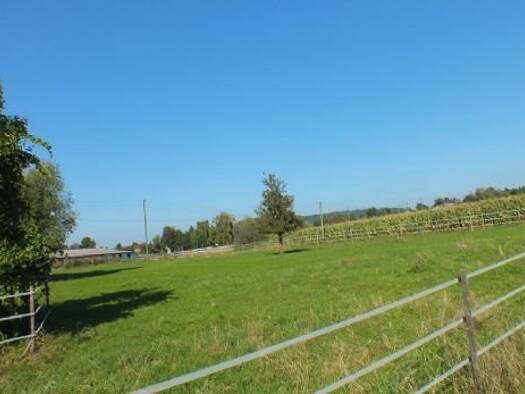 Bauernhof zum Kauf provisionsfrei 999.500 € 21.000 m² Grundstück Arlen Rielasingen-Worblingen 78239