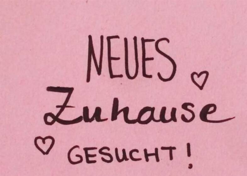 Wohnung zur Miete 850 € 3 Zimmer 100 m² Schaffhausen Wadgassen 66787