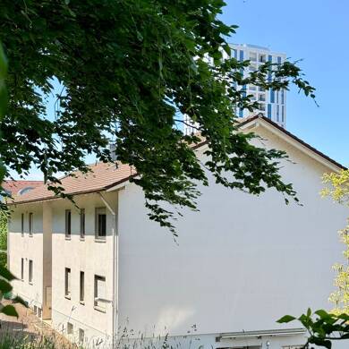Mehrfamilienhaus zum Kauf 21 Zimmer 600 m² 2.996 m² Grundstück Niederdorla Lörrach 79540