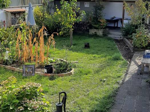 Wohnung zur Miete 520 € 3 Zimmer 70 m² Geschoss 1/2 frei ab 01.11.2026 Neuburg am Rhein 76776