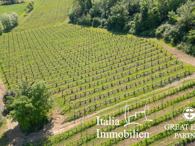 Bauernhaus zum Kauf 4.900.000 € 17 Zimmer 411 m² 181.000 m² Grundstück San Gimignano 53037