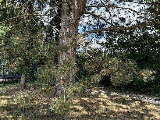 Grundstück zum Kauf 569.000 € 800 m² Grundstück Altenberg Oberasbach 90522