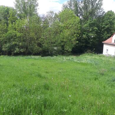 Grundstück zum Kauf 125.000 € 1.041 m² Grundstück frei ab sofort Untereuerheim Grettstadt 97508