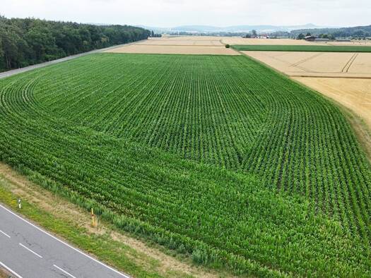 Land-/Forstwirtschaft zum Kauf 79.000 € 16.114 m² Grundstück Groß-Umstadt 64823