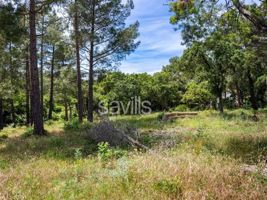Grundstück zum Kauf 1.700.000 € 3.221 m² Grundstück Grimaud 83310