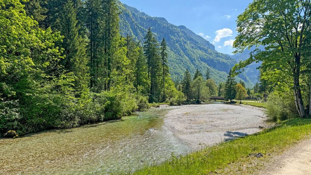 Grundstück zum Kauf 730.000 € 1.275 m² Grundstück Golling an der Salzach 5440