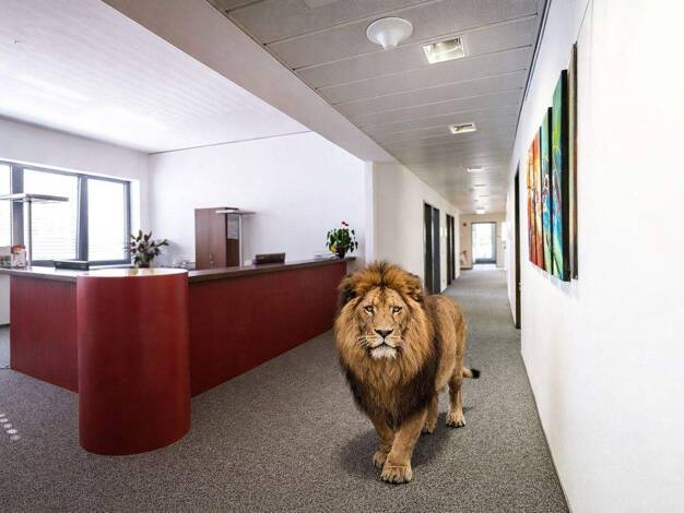 Bürofläche zur Miete 4.054 € 12 Zimmer 343 m² Bürofläche Pfungstadt 64319