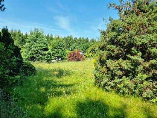 Grundstück zum Kauf provisionsfrei 199.000 € 1.111 m² Grundstück frei ab 01.10.2025 Chemnitz 09128