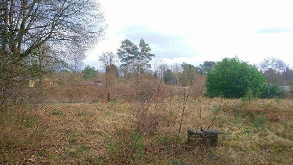 Freizeitgrundstück zum Kauf 65.000 € 10.000 m² Grundstück Langendamm Ribnitz-Damgarten 18311