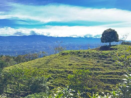 Grundstück zum Kauf provisionsfrei als Kapitalanlage geeignet 75.000 € 1 Zimmer 60.000 m² Grundstück 800 metros oeste del parque de sabalito sabalito 60801