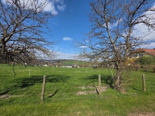 Grundstück zum Kauf 79.000 € 1.246 m² Grundstück frei ab sofort Seeblickstraße Wiersdorf 54636