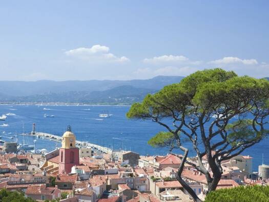 Grundstück zum Kauf 2.925.000 € 1.500 m² Grundstück Zone Ouest Urbaine Saint Tropez 83990