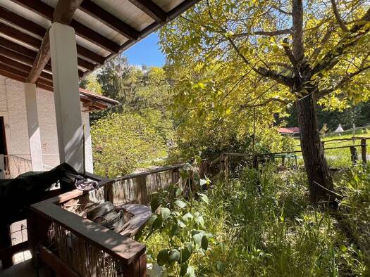 Bauernhaus zum Kauf 195.000 € 4 Zimmer 500 m² 30.000 m² Grundstück frei ab sofort Mioglia 17040