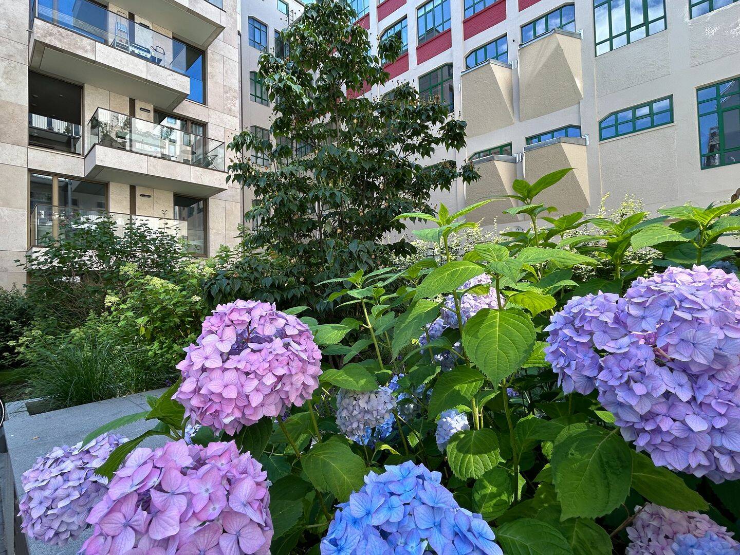 Property thumbnail 12