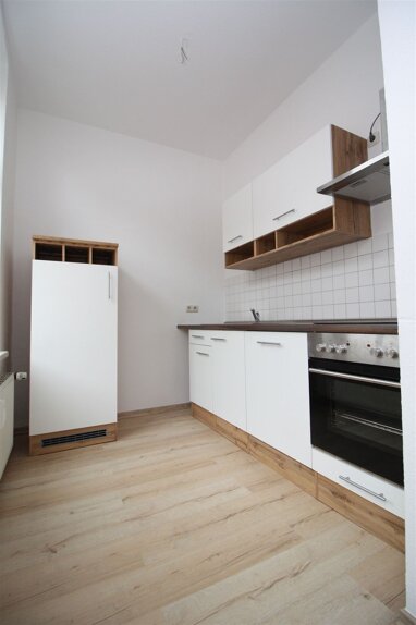 Apartment zur Miete 252 € 2 Zimmer 46 m² frei ab sofort Reißiger Vorstadt Plauen 08525