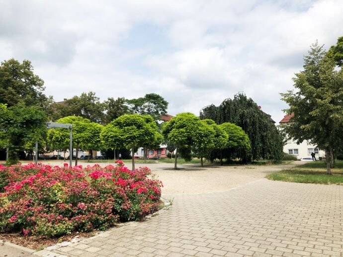 Property thumbnail 22