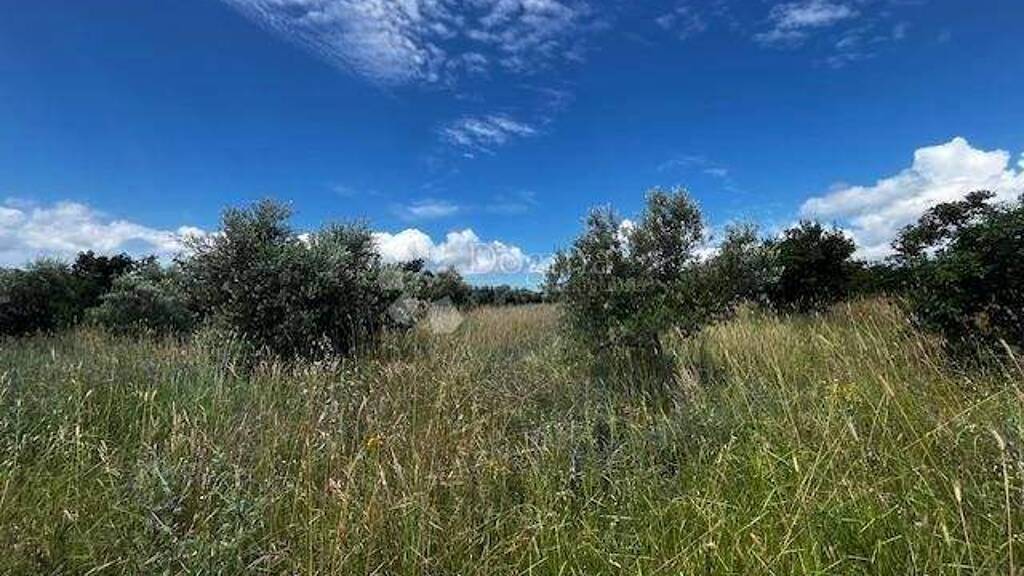 Land-/Forstwirtschaft zum Kauf 64.400 € Centar, Loborika