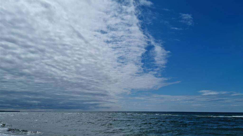 Wohnung zum Kauf provisionsfrei 215.000 € 2 Zimmer 61,5 m² EG Börgerende 18211