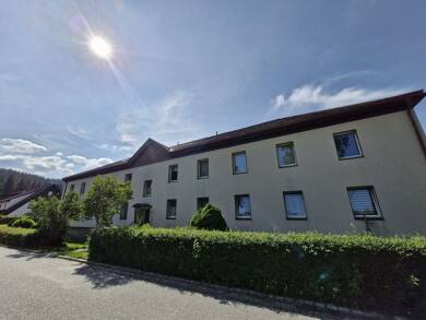 Wohnung zur Miete 340 € 2 Zimmer 58,6 m² 2. Geschoss frei ab sofort Antonshöhe Breitenbrunn/Erzgebirge 08359