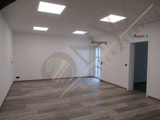 Büro zur Miete 1.050 € 4 Zimmer 161,6 m² Bürofläche Groß-Zimmern 64846