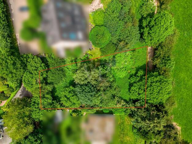 Grundstück zum Kauf 129.000 € 1.250 m² Grundstück Eicherscheid Bad Münstereifel 53902