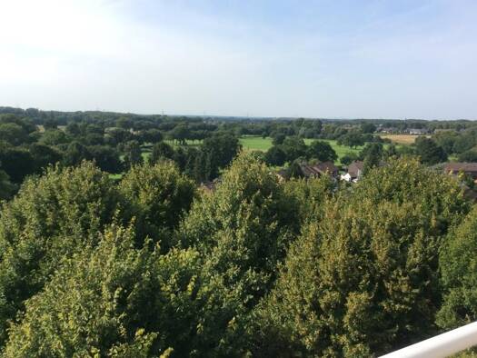 Wohnung zur Miete 378 € 2 Zimmer 60 m² 8. Geschoss Timmerbrinksweg 4 Hassel Gelsenkirchen 45896