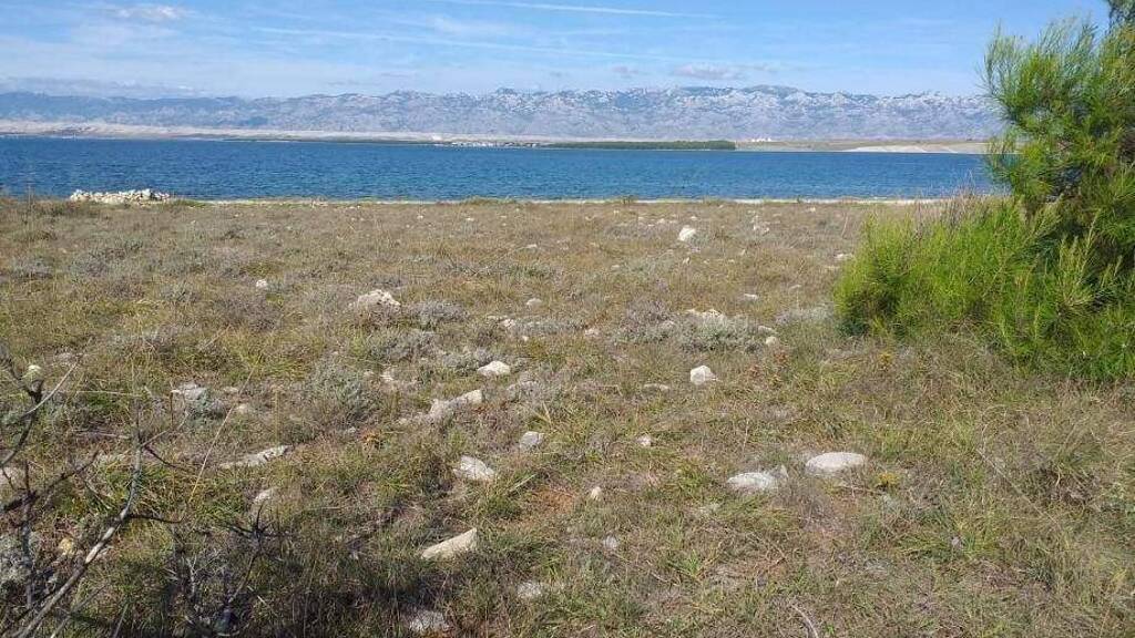 Land-/Forstwirtschaft zum Kauf 200.750 € Vir