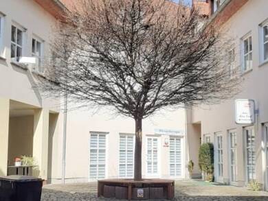 Ladenfläche zur Miete 480 € 80 m² Verkaufsfläche Obere Hauptstraße 26 Laucha Laucha 06636