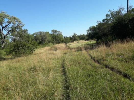 Grundstück zum Kauf 150.000 € 720.000 m² Grundstück Quiíndy 4240