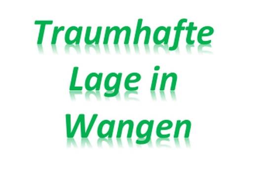 Einfamilienhaus zum Kauf provisionsfrei 1.150.000 € 7 Zimmer 250 m² 980 m² Grundstück Wangen Wangen im Allgäu 88239