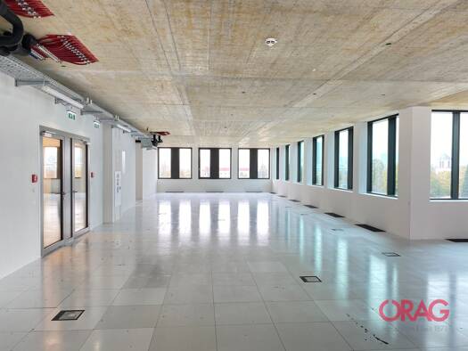 Bürofläche zur Miete - Erstbezug 15,50 € 1.086,2 m² Bürofläche Lustenau Linz 4020