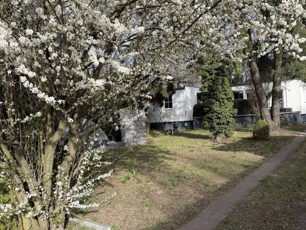 Einfamilienhaus zum Kauf provisionsfrei 599.000 € 5 Zimmer 157 m² 1.163 m² Grundstück Altglienicke Treptow-Köpenick 12524