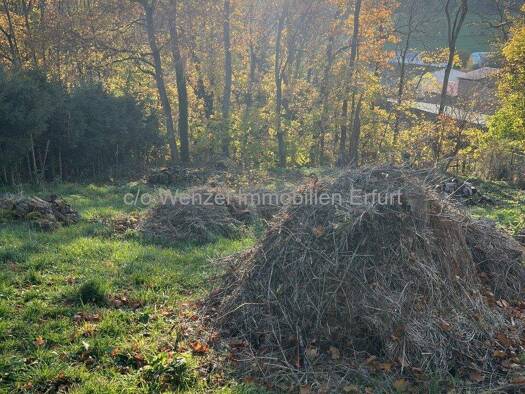 Grundstück zum Kauf 78.000 € 850 m² Grundstück Obere Hauptstraße 17a Langewiesen 98704