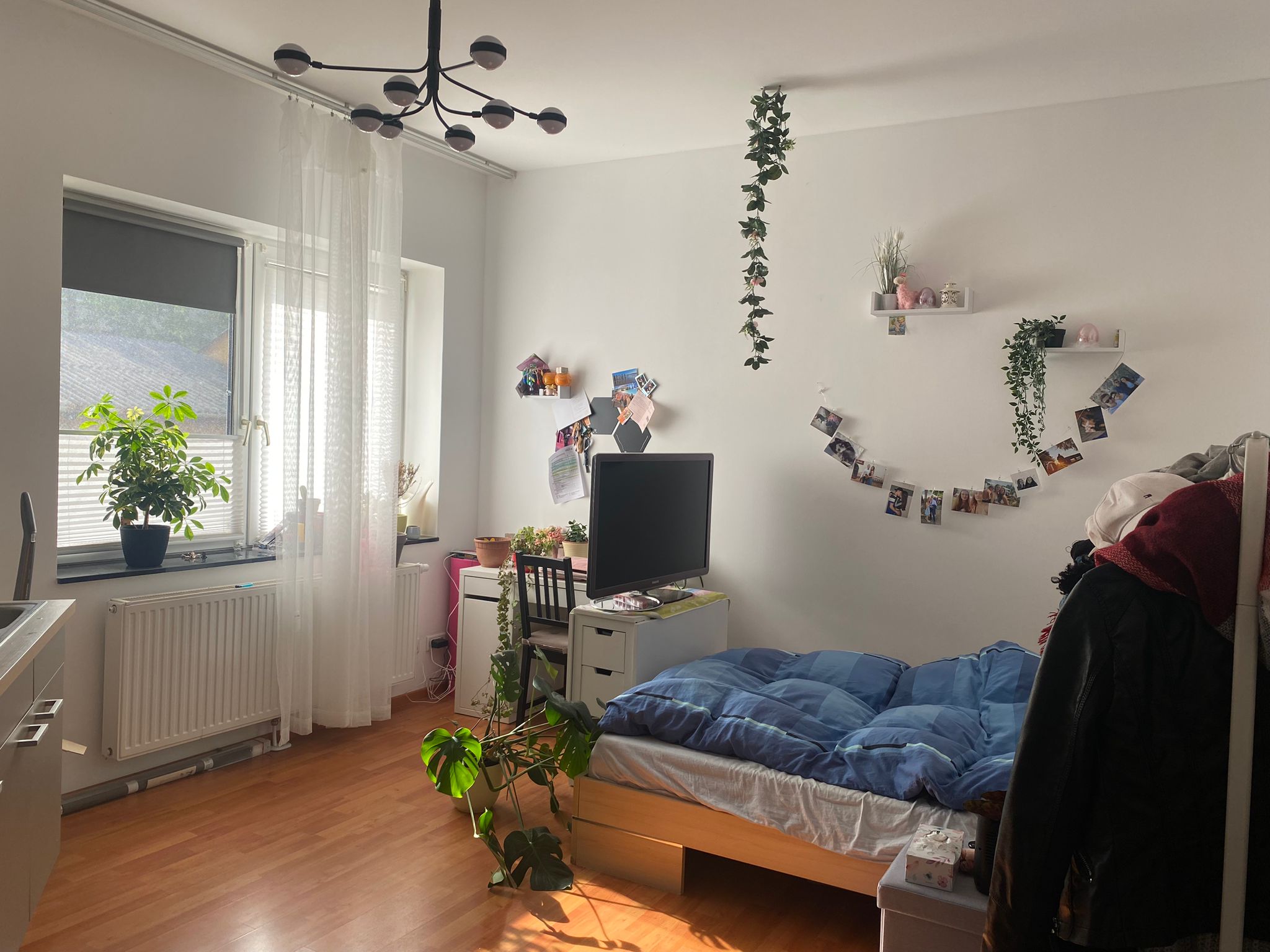 Wohnung zur Miete 410 € 1 Zimmer 28 m²<br/>Wohnfläche EG<br/>Geschoss 01.04.2025<br/>Verfügbarkeit Frauenland Würzburg 97074