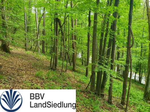 Forstwirtschaft zur Versteigerung 29.000 € 21.500 m² 21.500 m² Grundstück Schönbrunn Bad Staffelstein 96231
