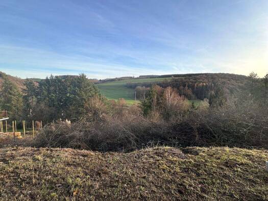 Grundstück zum Kauf 39.500 € 911 m² Grundstück Schiersfeld 67823