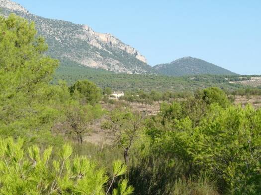 Grundstück zum Kauf 187.000 € 340.000 m² Grundstück Lorca
