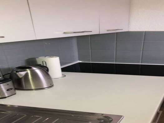 Wohnung zur Miete 520 € 1 Zimmer 37 m² Geschoss 1/3 frei ab sofort Römerhofweg 41 Garching Garching bei München 85748