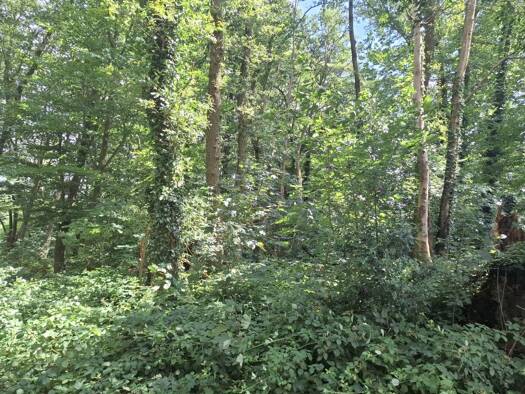 Land-/Forstwirtschaft zum Kauf 14.350 € 1.435 m² Grundstück Schwalmtal 41366