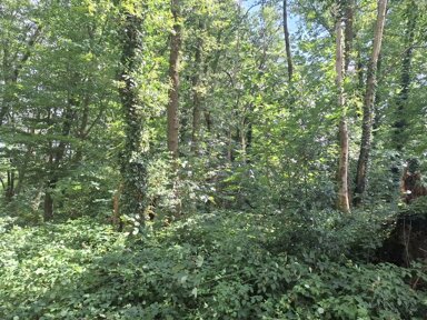 Land-/Forstwirtschaft zum Kauf 14.350 € 1.435 m² Grundstück Waldniel Schwalmtal 41366