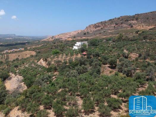 Haus zum Kauf 700.000 € 6 Zimmer 600 m² 15.000 m² Grundstück Kreta Municipality of Milopotamos 740 57