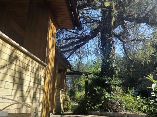 Grundstück zum Kauf provisionsfrei 232.000 € 2.396 m² Grundstück Kienbaum Grünheide (Mark) 15537