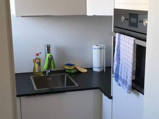 Wohnung zur Miete Wohnen auf Zeit 1.250 € 1 Zimmer 30 m² frei ab 01.02.2026 Laim München 80686